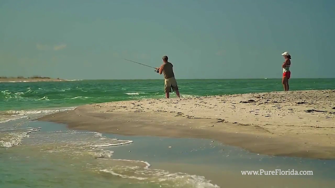 Experience Punta Gorda  Englewood Beach Florida - Food and Travel Magazine
