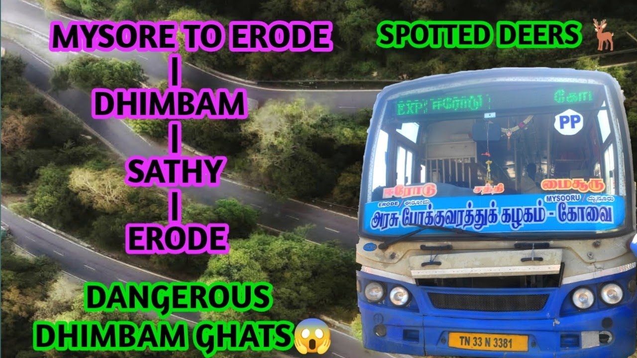 🚍TNSTC MYSORE TO ERODE!! DANGEROUS DHIMBAM GHATS🔥Travel Review!! |K Raja vlog