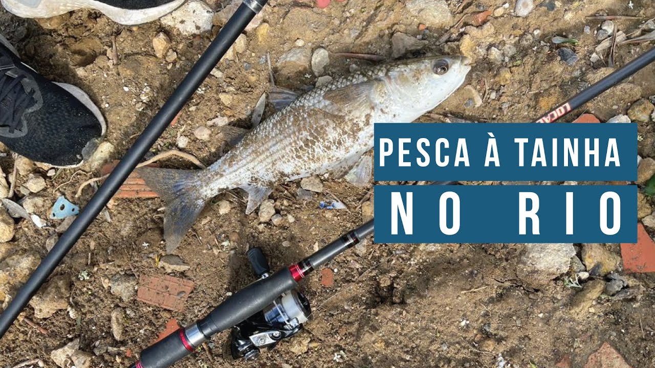 Pesca à Tainha no Rio