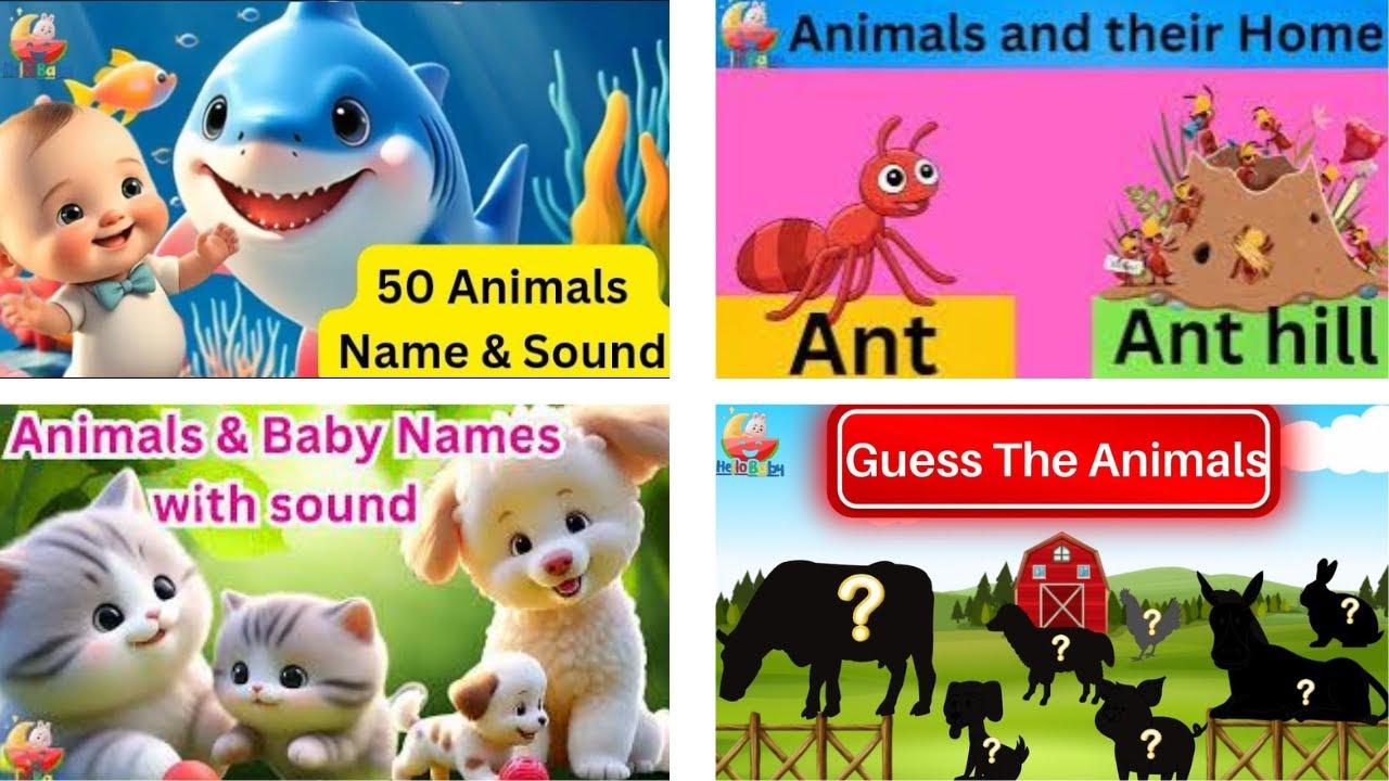Animals for Kids Live | Animal Sounds, A-Z Animals & Nursery Rhymes