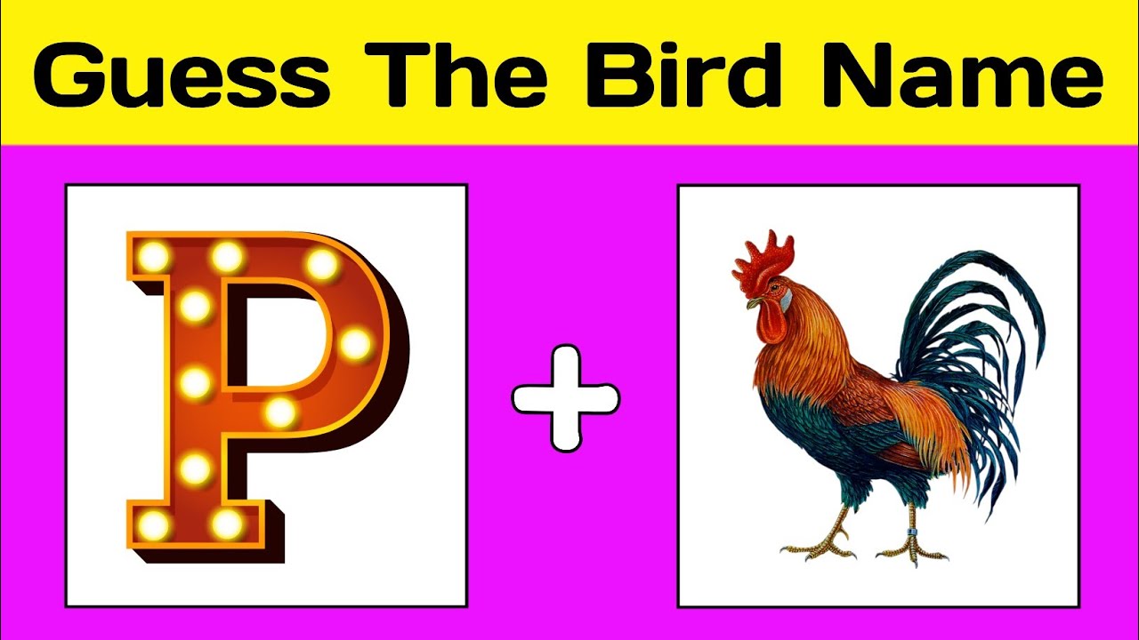 Guess The Bird Name | Hindi Paheliyan | चिड़िया का नाम अनुमान  लगाए |&lrm;@GUESS2DAAEMOJI