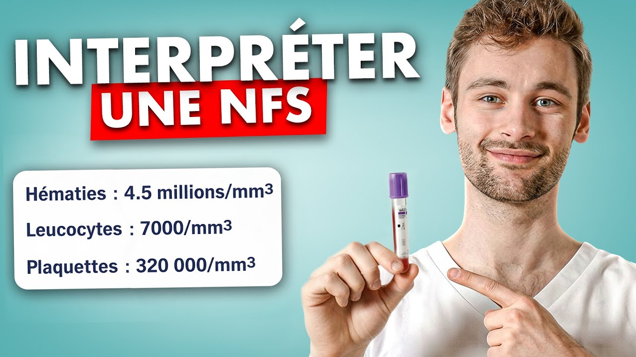 Numération formule sanguine (NFS) : valeurs et interprétation - guide infirmier