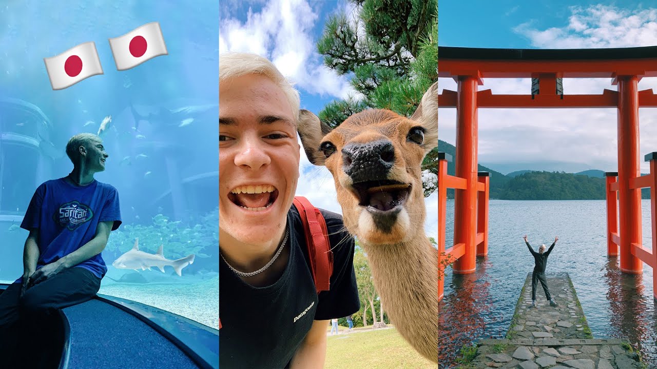 travelling SOLO in JAPAN at age 19 (part two)