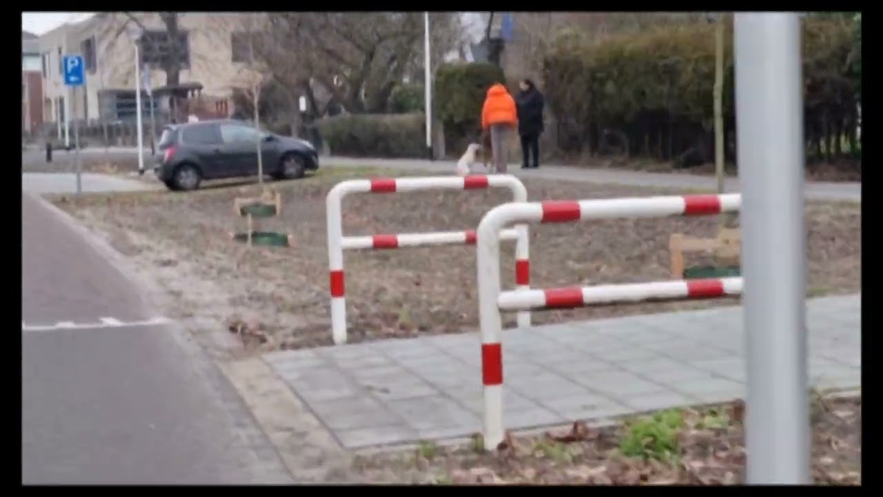 Film highlights SuDS Tour van Deventer naar Almere