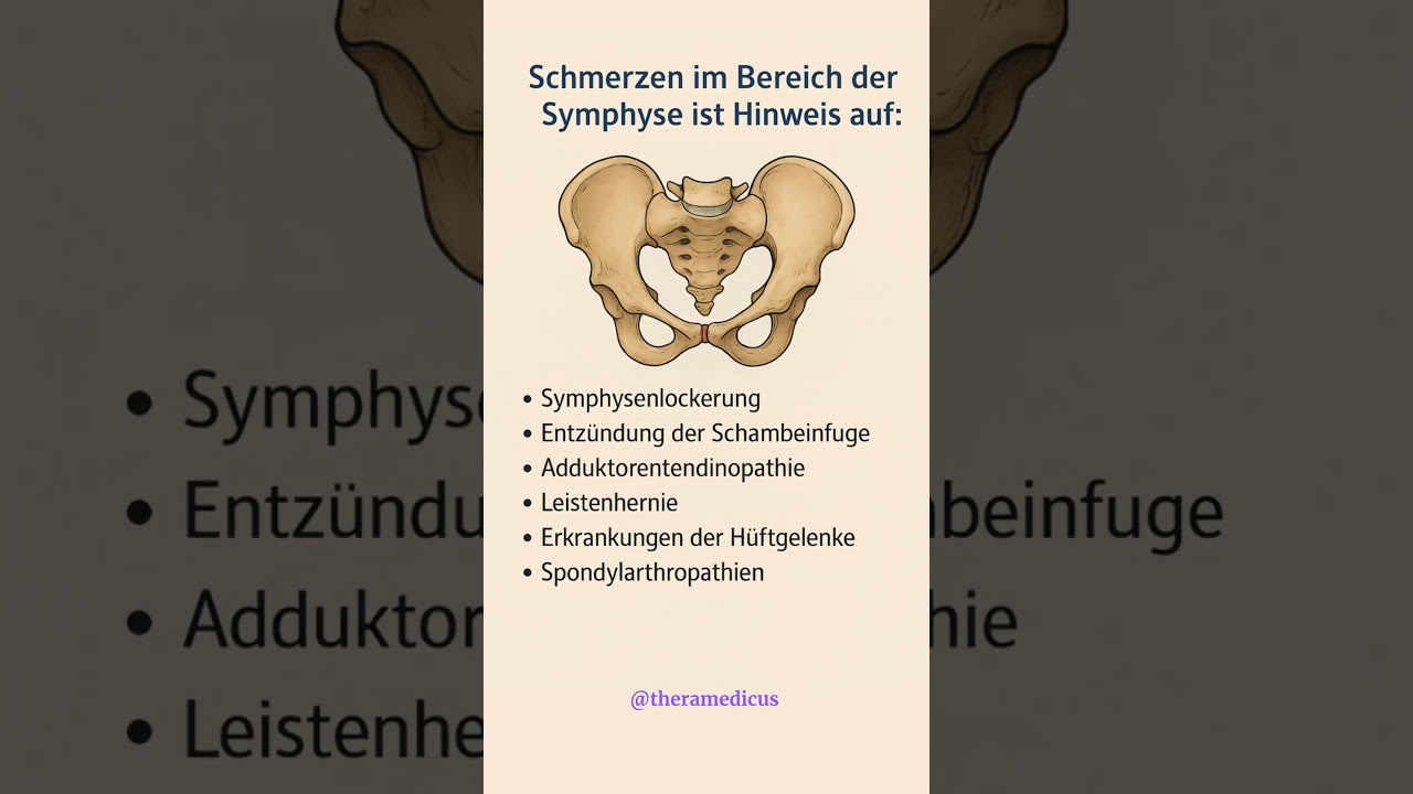⚠️ &bdquo;Schmerzen an der Symphyse?