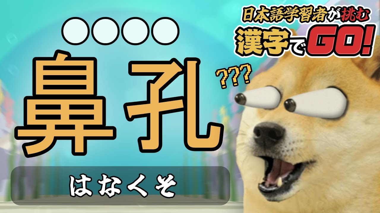 日本語を勉強している外国人が漢字でGOをやってみた