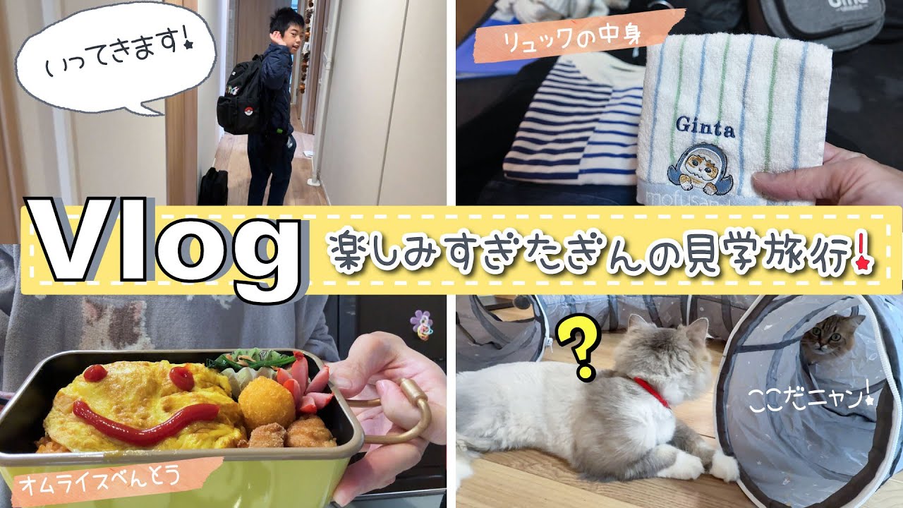 ★Vlog★ぎん、ずっと楽しみにしてた見学旅行♪お弁当のほうれん草が・・・