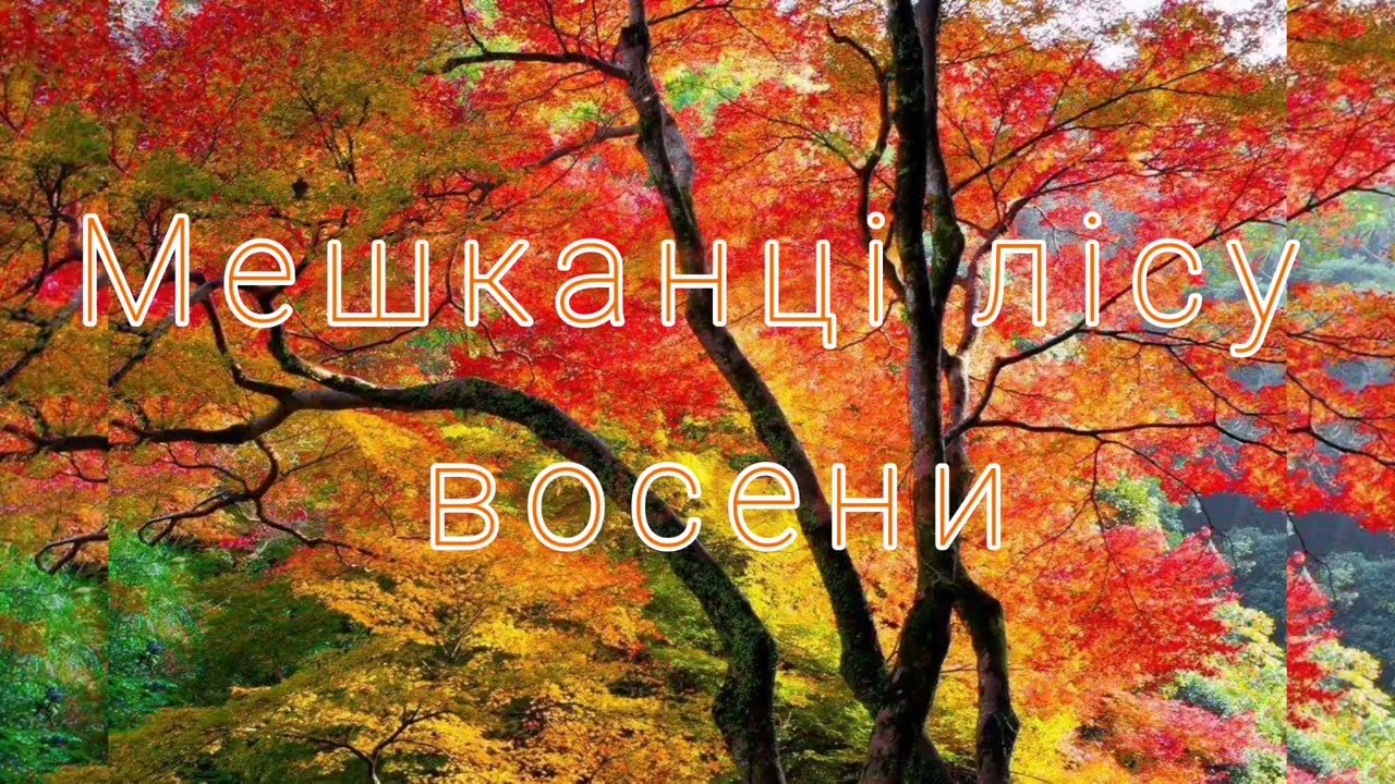 Середня група. Дитина в природному довкіллі 