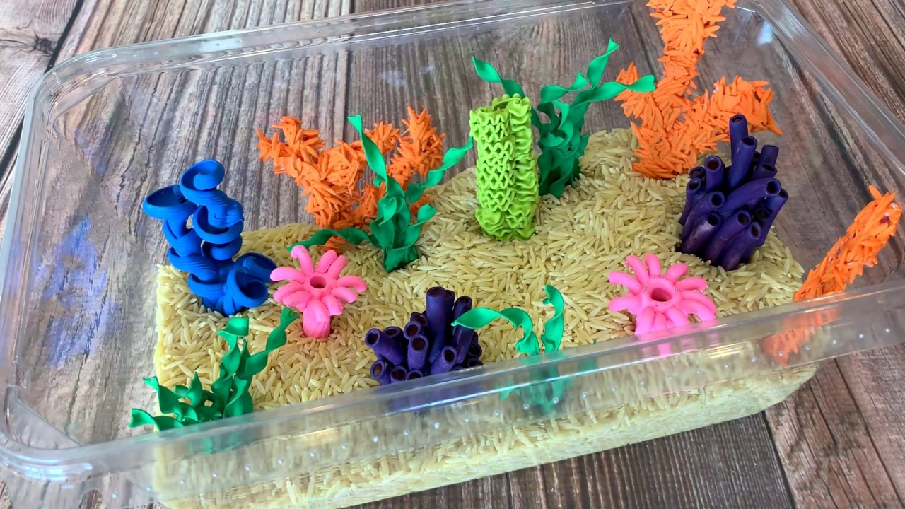 How to Make a Model of the Great Barrier Reef out of Pasta