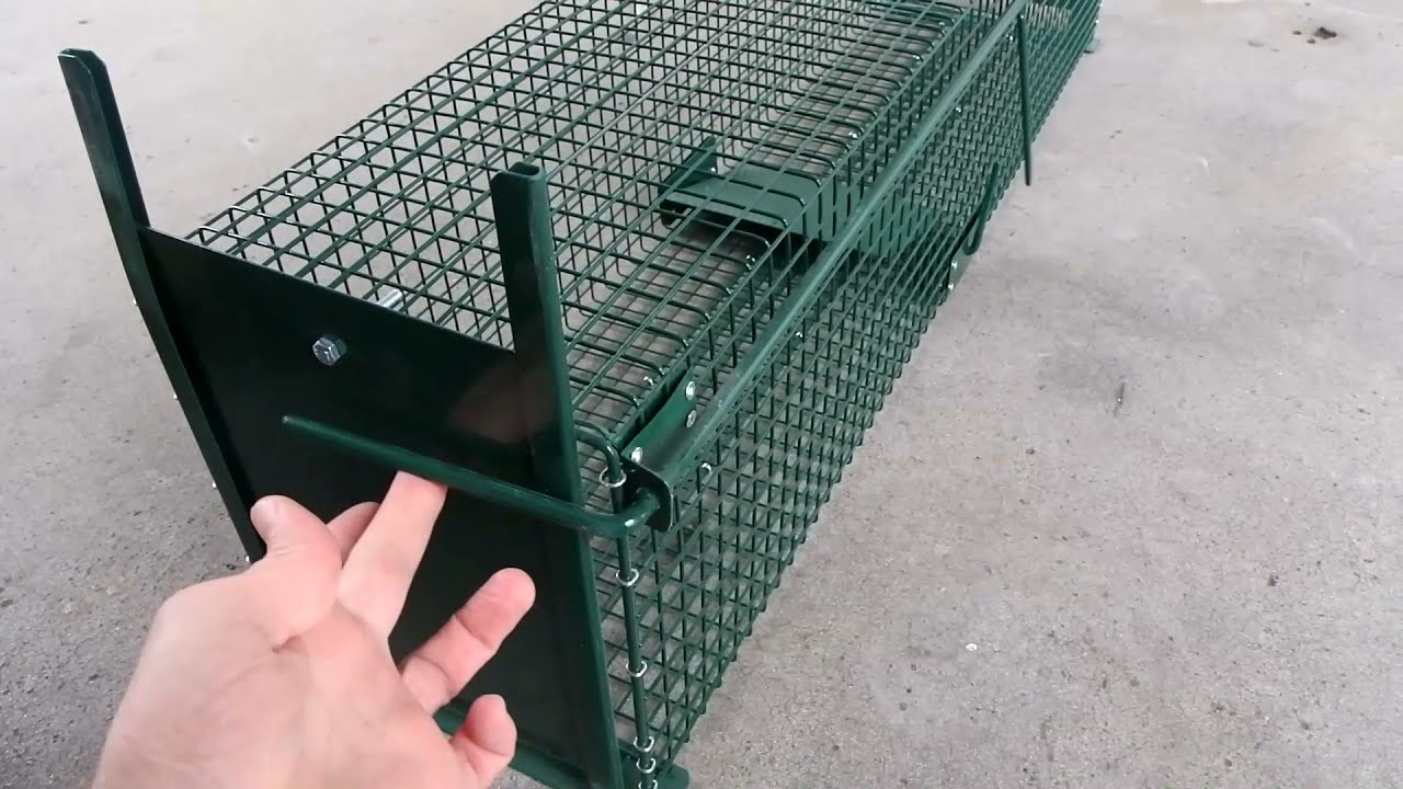 Moorland Stable Wire Cage Animal Trap 5007 Humane Live Trapping of Feral Cat Marten Mink Fox Large