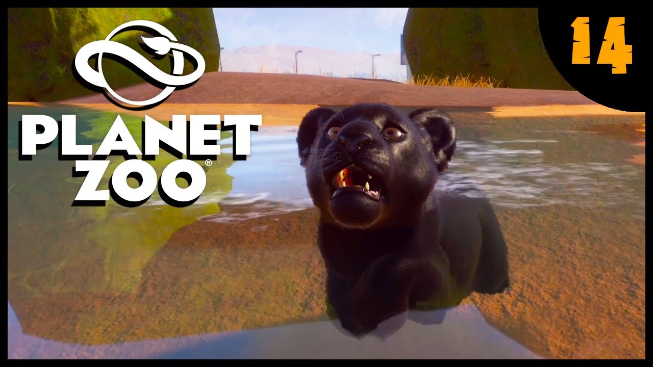 Planet Zoo 🦁 #14  Schwarzer Jaguar, Flusspferde und Albino-Nachwuchs [Deutsch|German] [Let's Play]