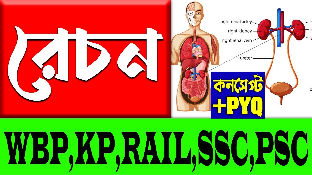 প্রাণীর রেচন অঙ্গ | Excretion Class | General Science Class for Competitive Exams | Science Class