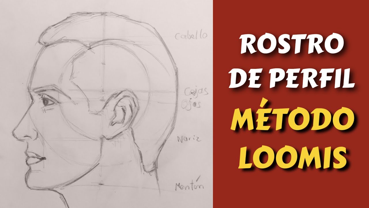 Cómo dibujar un rostro de perfil - Método Loomis