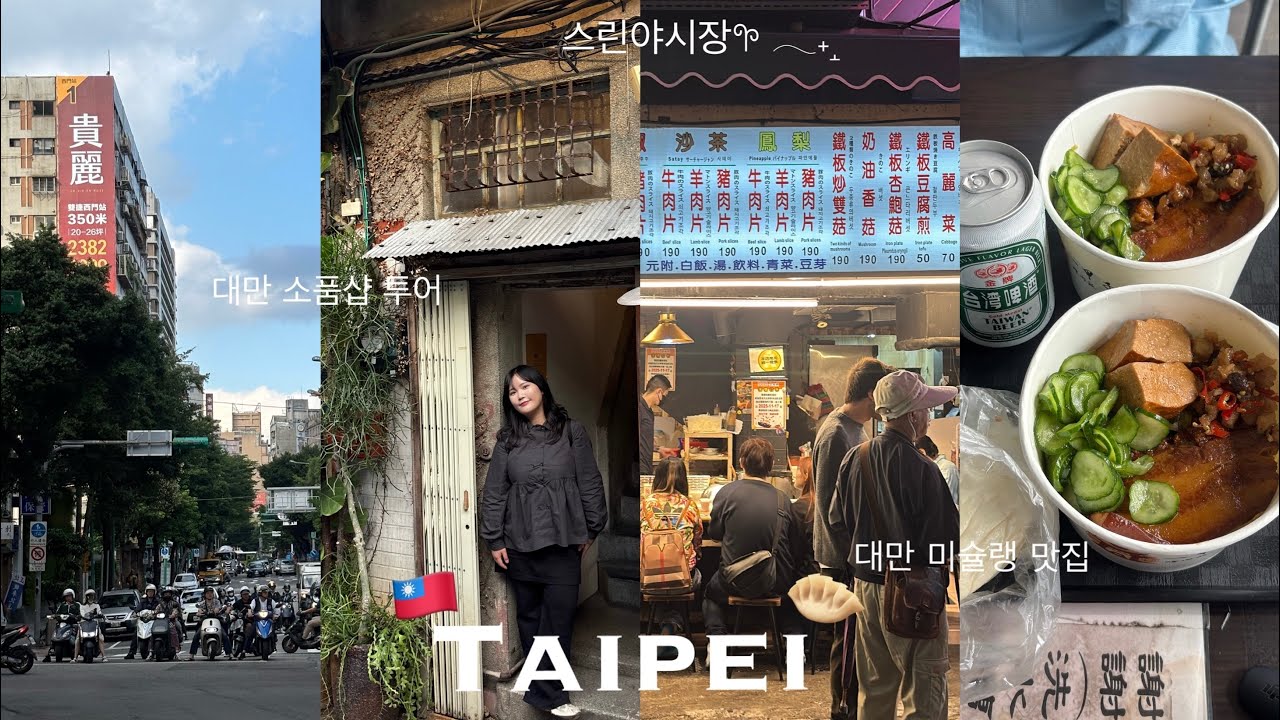 [vlog] 2박3일 대만 여행 브이로그🇹🇼 • 일갑자찬음 • 대만 소품샵 투어 • 아종면선 • 우스란 • 보보상점 • 스린야시장 • 타이베이 동물원