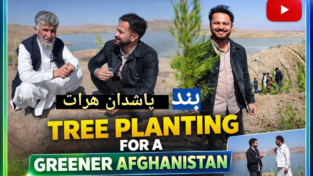اتفاقی متفاوت در بند پاشدان هرات