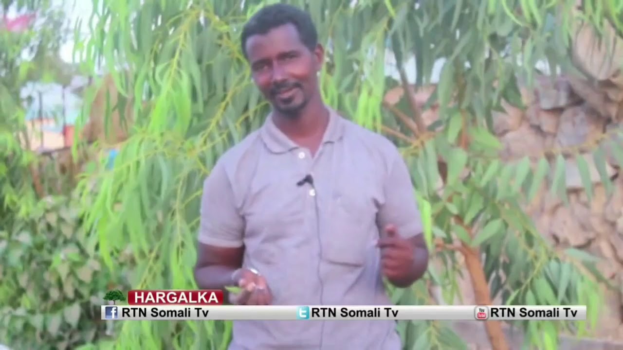 DALAGA BEERAHA CADAADO GALGADUUD GALMUDUG