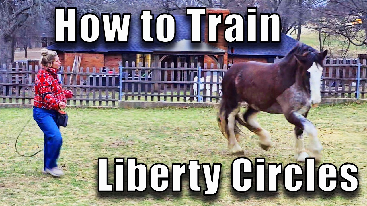 Training Liberty Circles