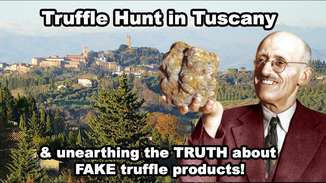 I go truffle hunting in Tuscany & unearth the TRUTH about FAKE truffle products