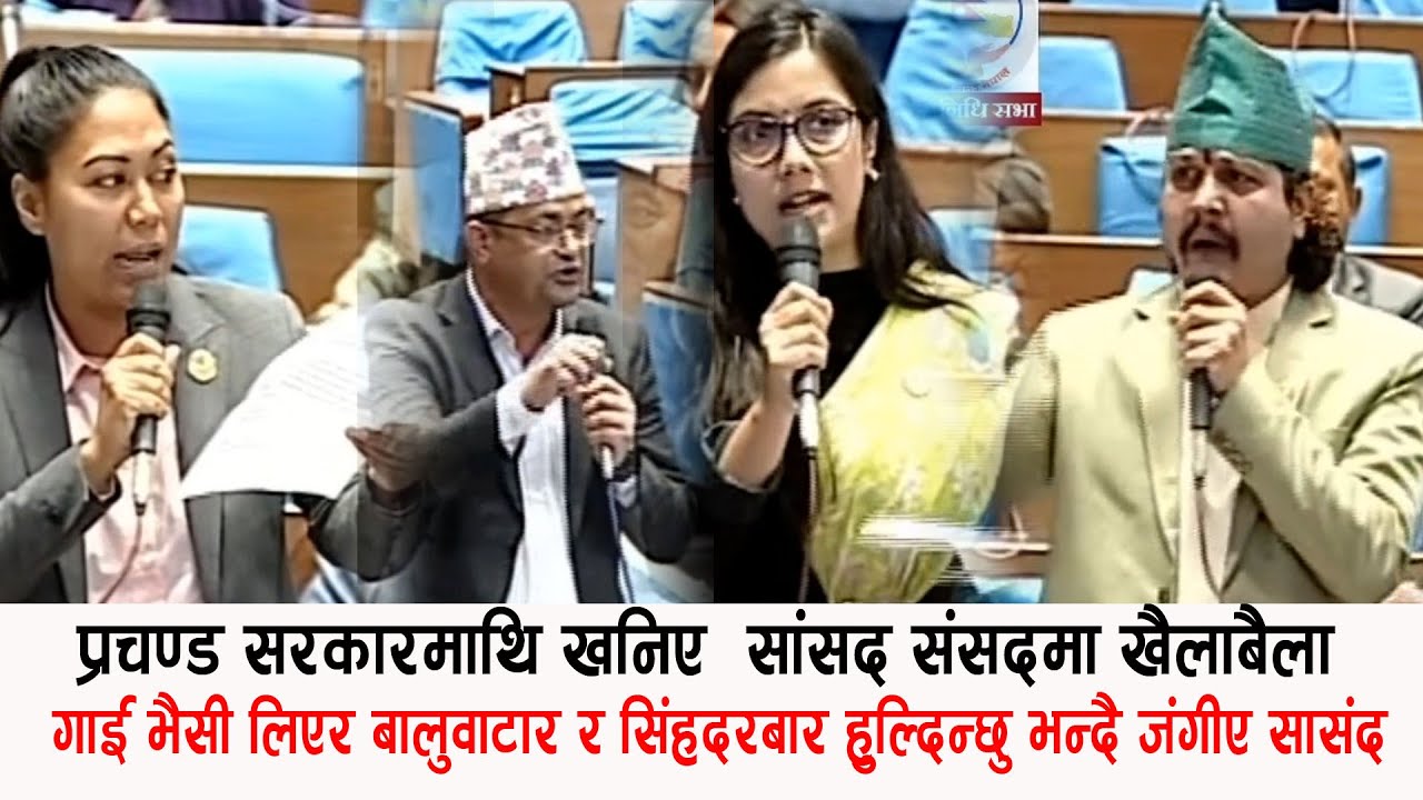 गाई भैसी लिएर बालुवाटार सिंहदरबार हुल्दिन्छु भन्दै जंगीए सासंद,प्रचण्ड सरकारमाथि खनिए संसदमा खैलाबैल