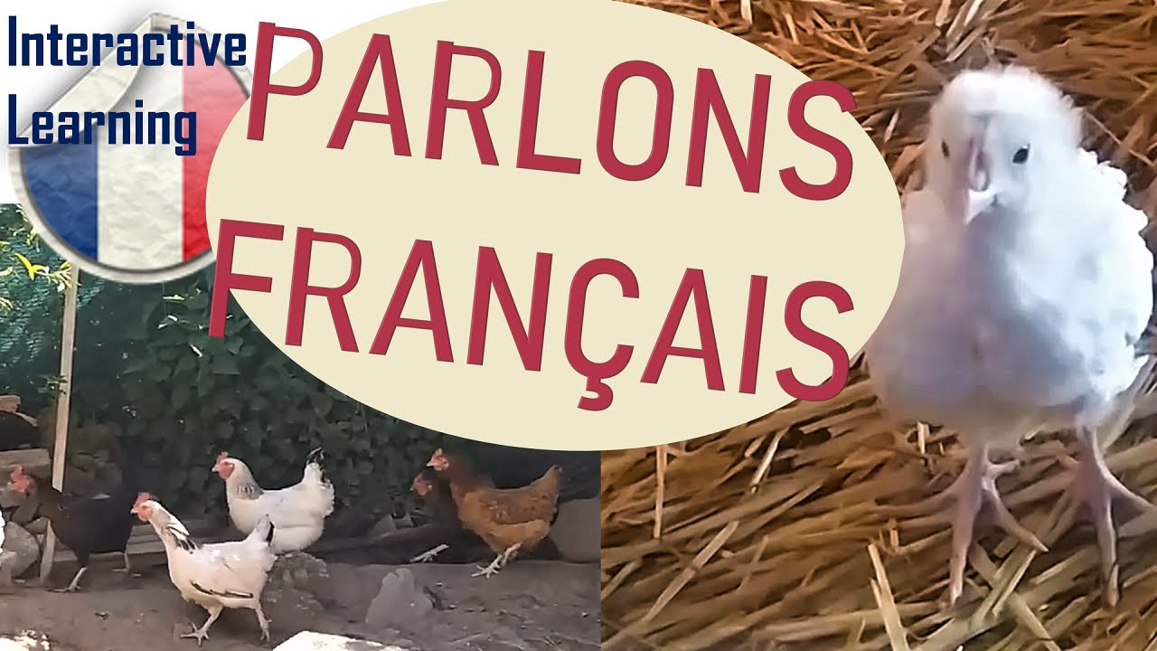 La basse-cour en français avec Interactive French Learning