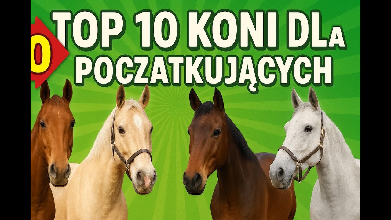 TOP 10 ras koni idealnych dla początkujących.