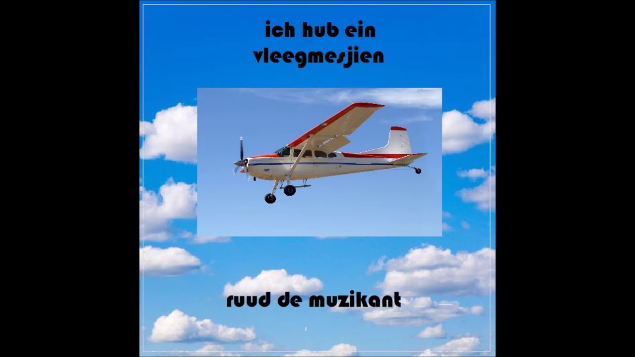 Vleegmesjien