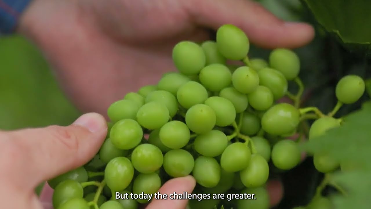 Aizatron x Telkom: Smarter Farming with AI, Data & 5G Connectivity