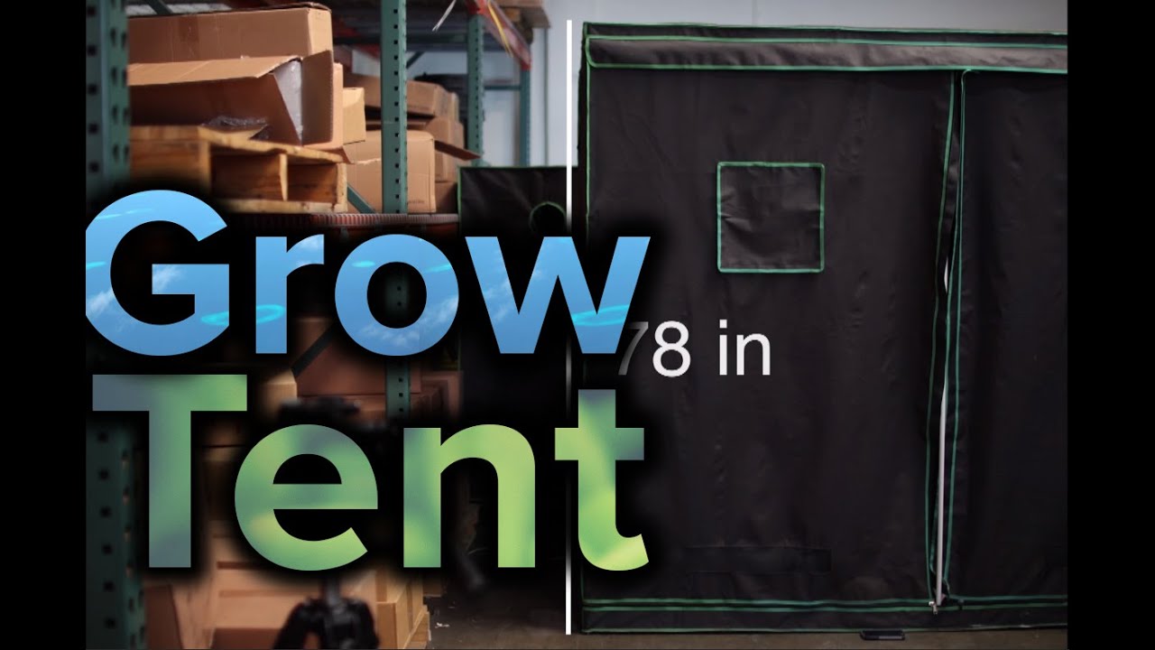 How to Choose the Right Size Grow Tent