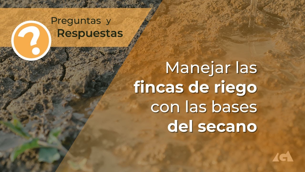 Manejar las Fincas de Riego con las Bases del Secano