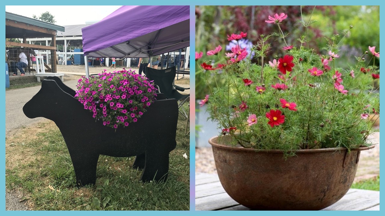 Dwarf tree ideas for home garden, balcony garden ,small garden tips, home garden, urban garden