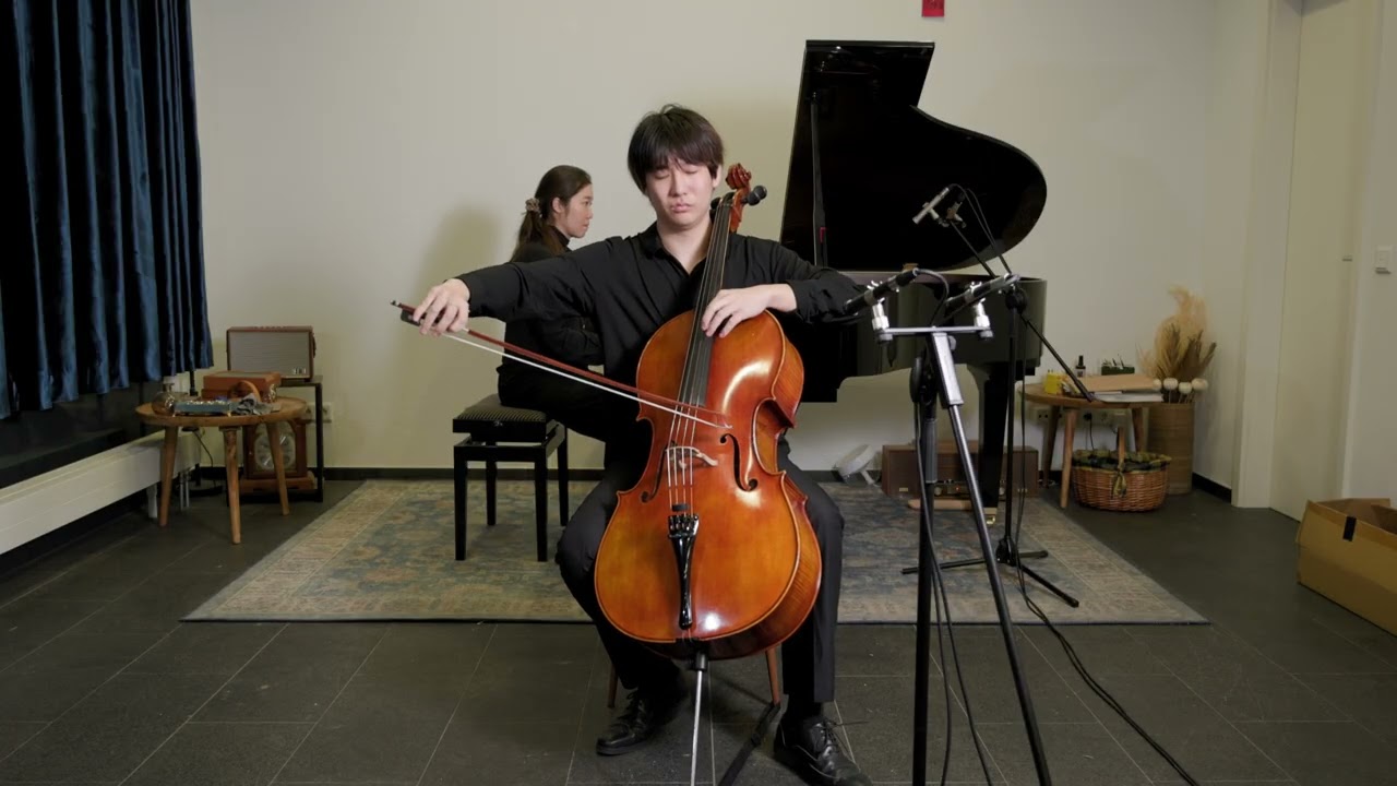 Haydn Violoncello Concerto in C major Moderato