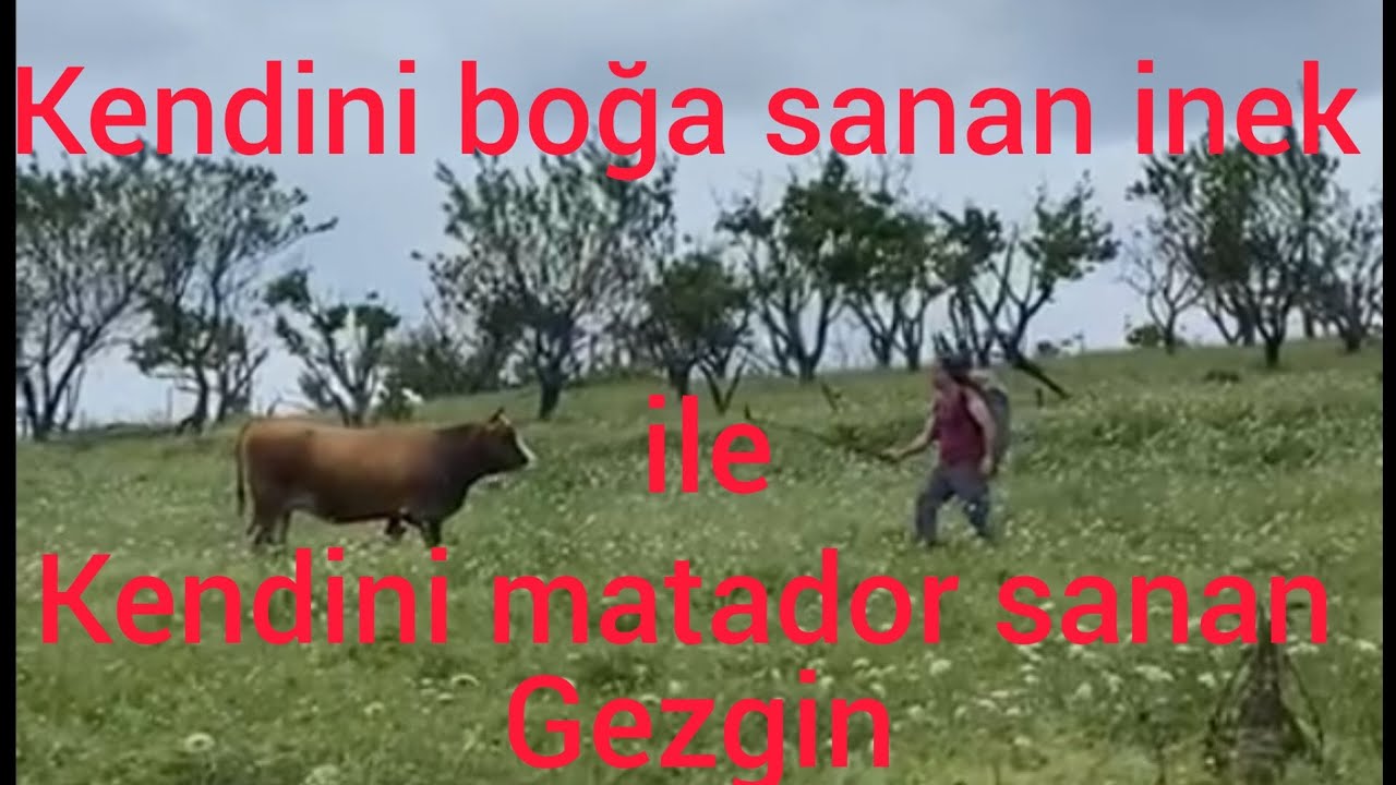 Bursa iznik tacir köyü kiraz yürüyüşü