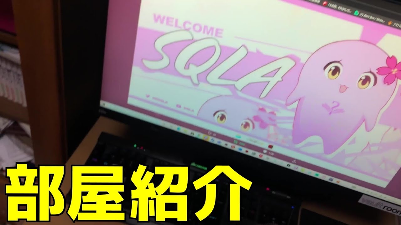 【 実写 】21歳プロストリーマーのゲーム部屋紹介【 SqLA 】 【 SqLA 】