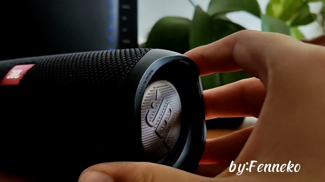 Mini blowout on the Flip 5 Black GG 100% volume