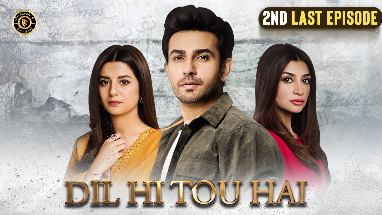 Dil Hi Tou Hai 2nd Last Episode | Ali Ansari | Zoya Nasir | Top Pakistani Drama