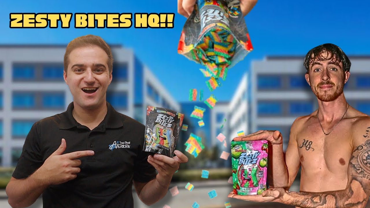 VISITING ZESTY BITES HEADQUARTERS WITH FINATIC!!