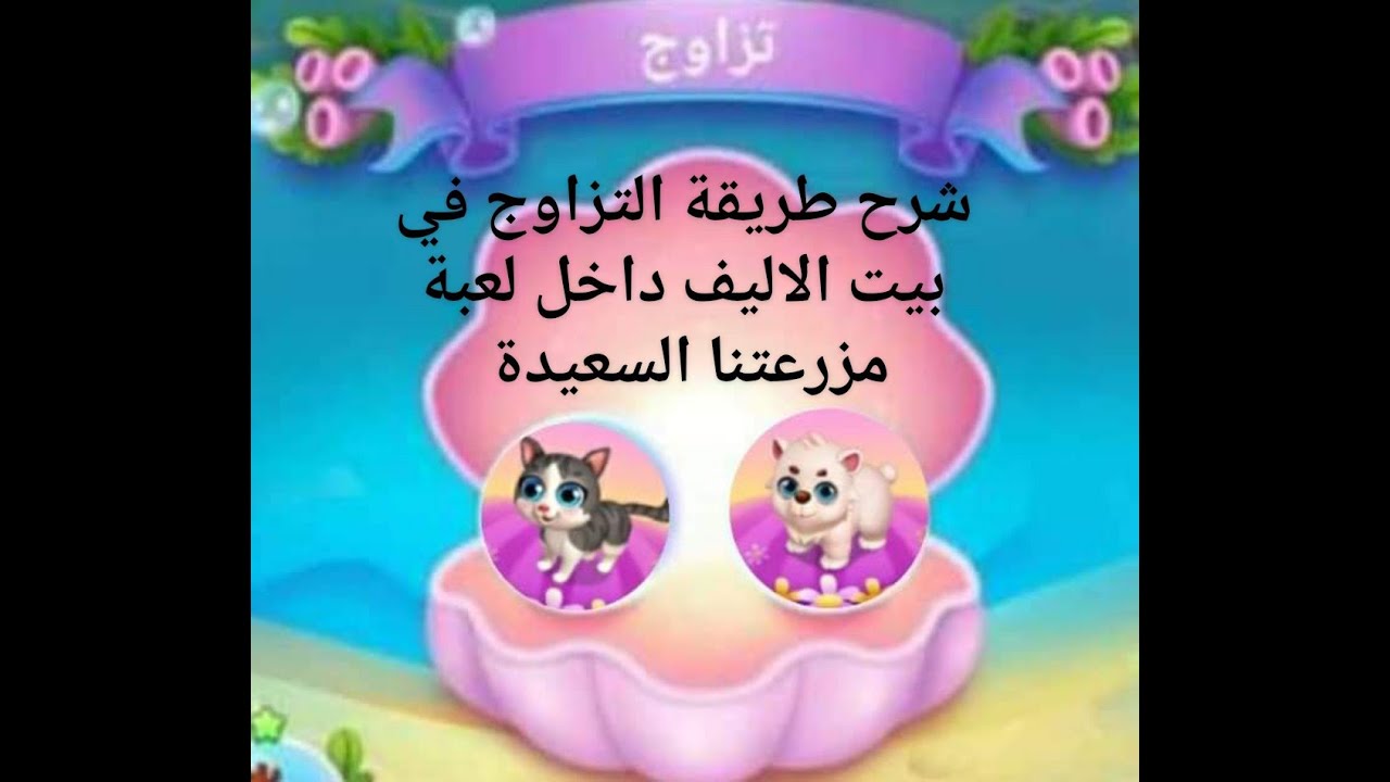 شرح طريقة التزاوج داخل بيت الاليف في مزرعتنا اللموبايل