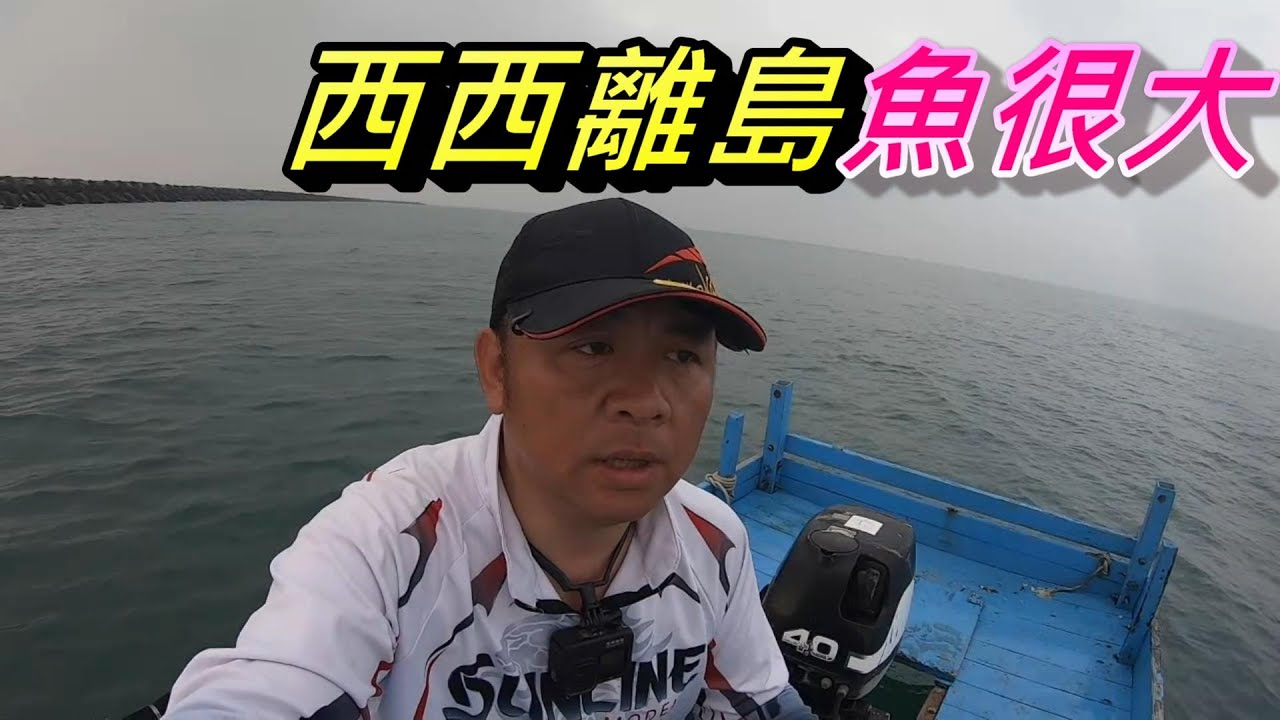 西西離島很多大魚 每次都會有不一樣的大物 這次大沙梭大石鱸來報到