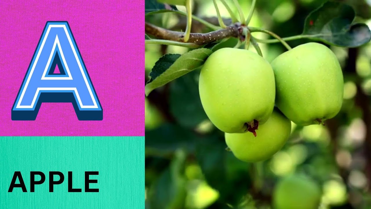 Песенка про фонетику алфавита | Звуки букв алфавита | Изучение алфавита для малышей | Детские пес...