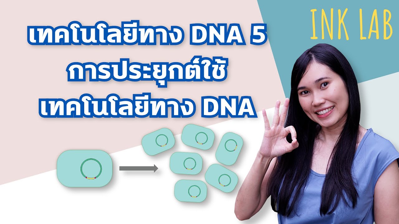 🧬เทคโนโลยีทาง DNA 5 : การประยุกต์ใข้เทคโนโลยีทาง DNA [Biology#39]