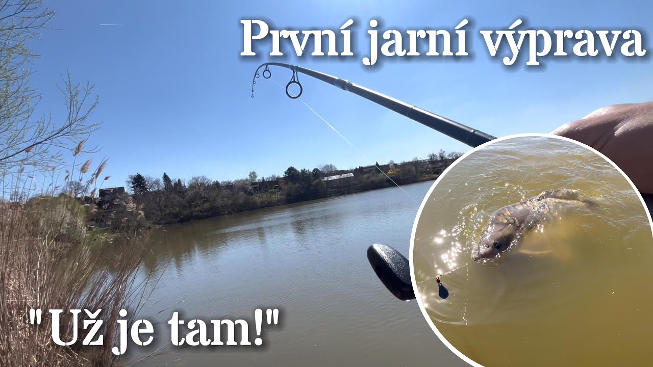 Jarní rybolov krok za krokem: kapr přišel během chvíle!