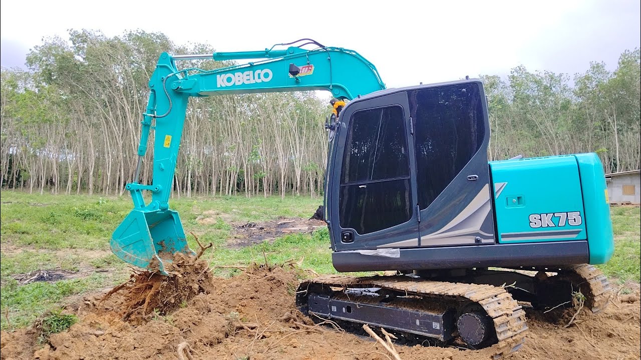 ใหม่ป้ายแดง! KOBELCO SK75-11 ลงจอดเมืองตรังอีก 1 คัน ลุยงาน ขุดตอไม้ยางพารา 5 ไร่