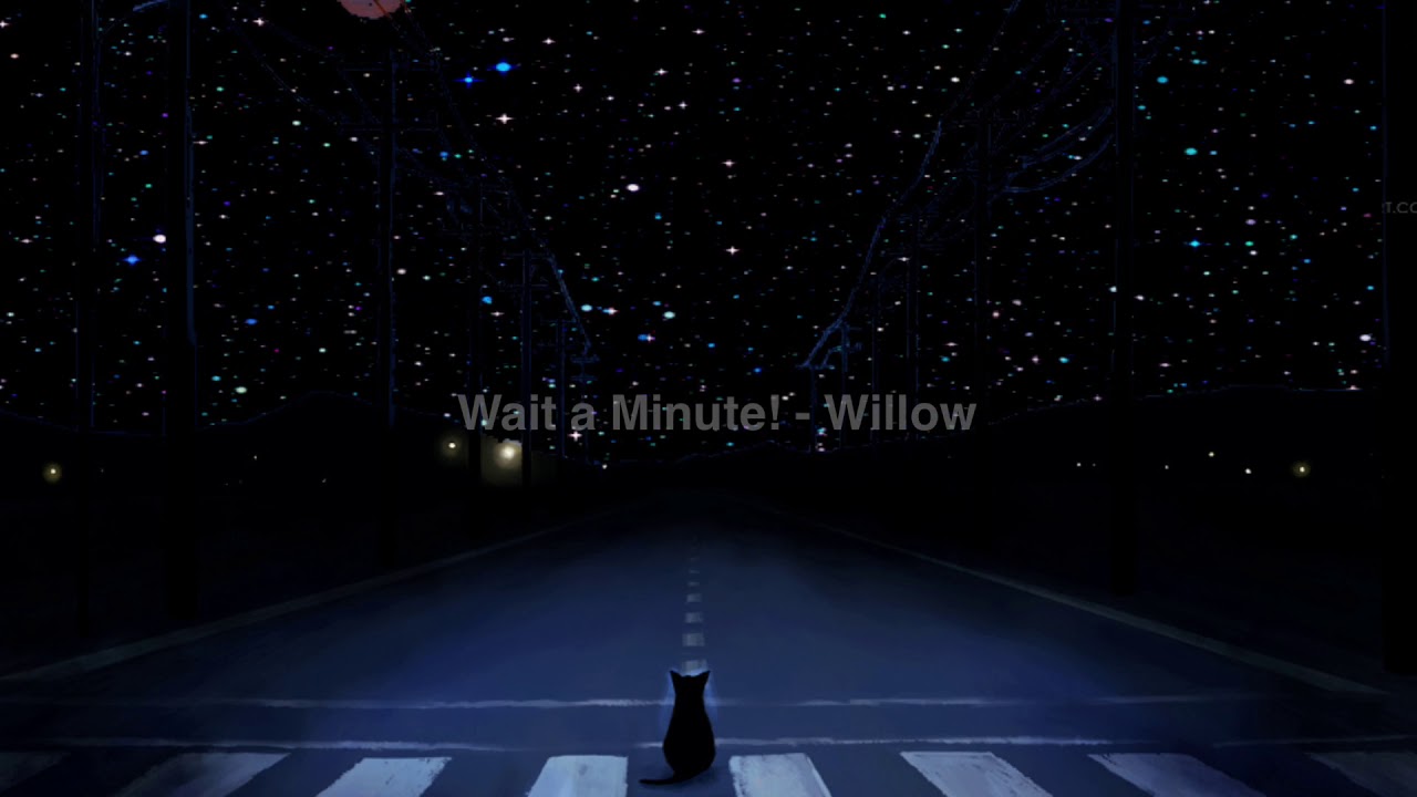 Wait a Minute - Willow (looped, the best part only)