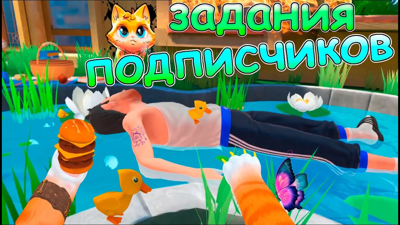 КОТ ДЕЛАЕТ ЗАДАНИЯ  ПОДПИСЧИКОВ - I AM CAT