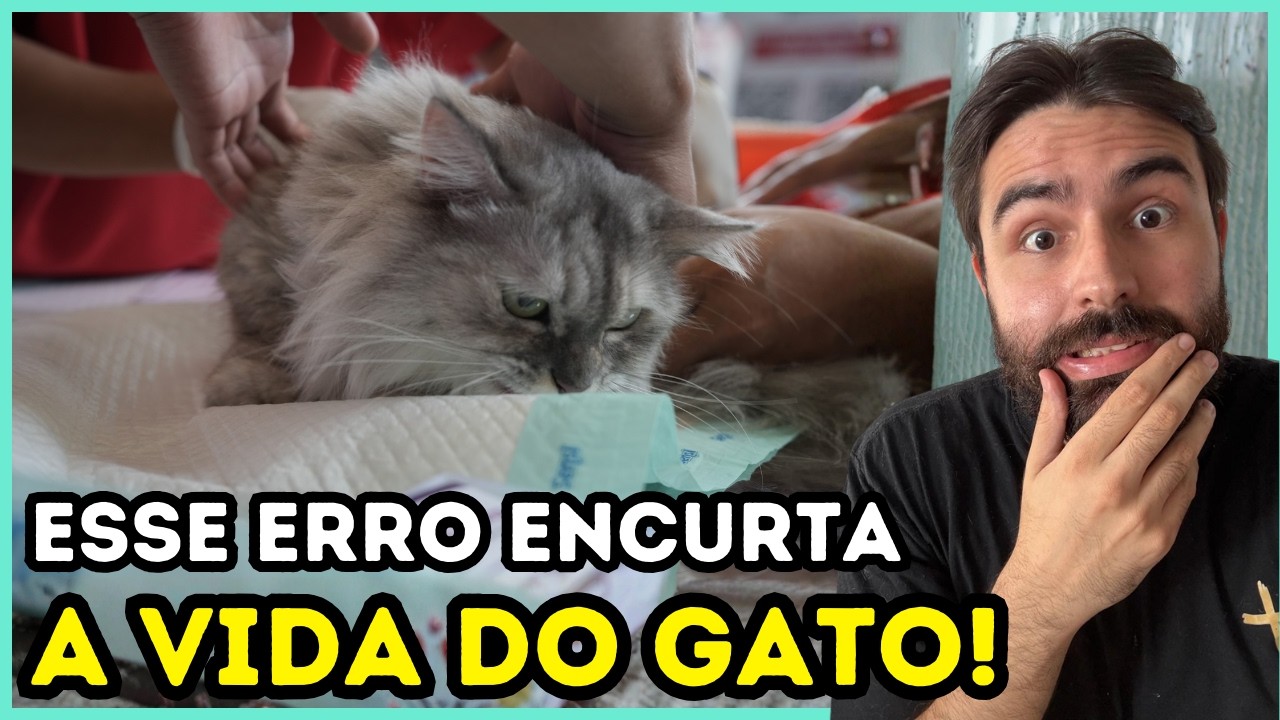 Os Rins Do Seu Gato Estão FALHANDO Por Causa Disso!