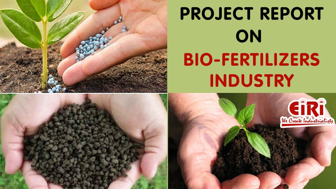 Biofertilizers Industry - Project Report - DPR