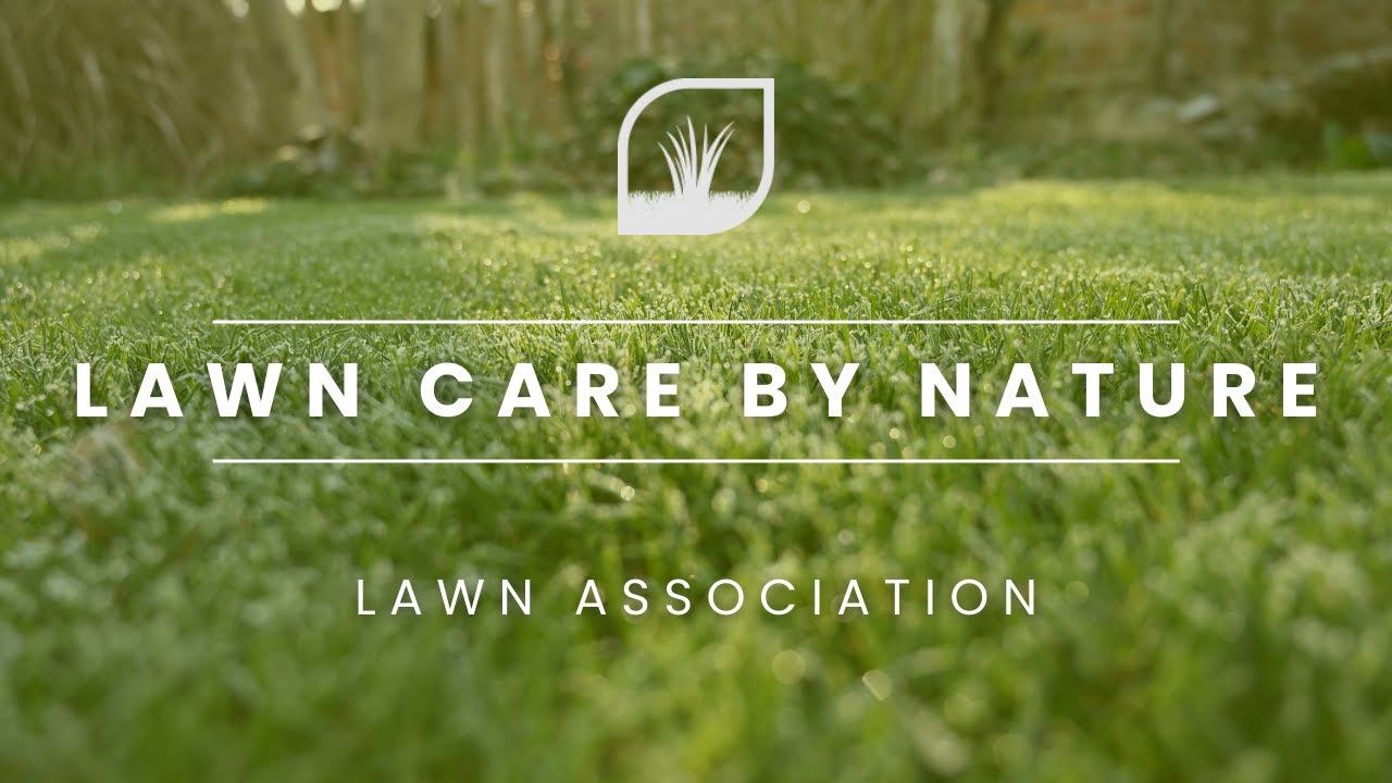 FREE LAWN CARE | DOG FRIENDLY  | LAWN CARE BY NATURE |  Lawn Association