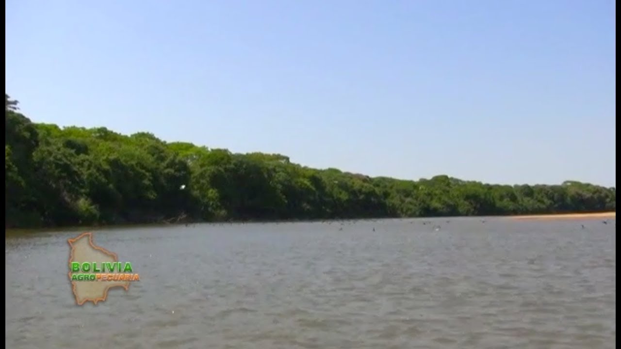 Goma, castaña, madera y pesca en la Amazonía boliviana