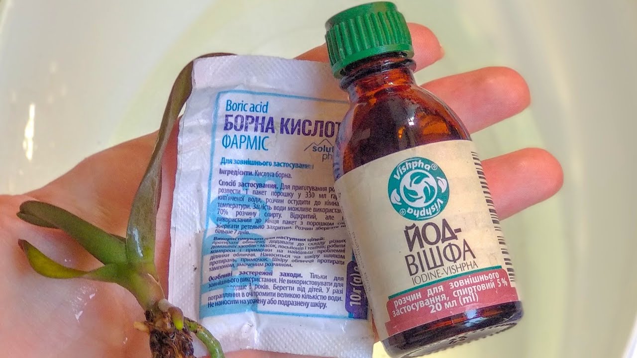 ЙОД орхидеи ВЕРНЕТ К ЖИЗНИ! корни ПРОБУЖДАЕТ! полив орхидеи ПОДКИСЛЕННОЙ ВОДОЙ с йодом!