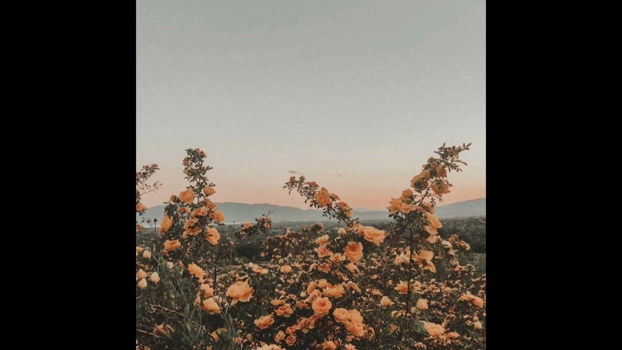 {free for profit} emotional piano ballad type beat - 